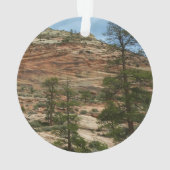 Worn Rock Walls dans le Parc national de Sion (dos)