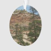 Worn Rock Walls dans le Parc national de Sion (devant)