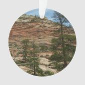 Worn Rock Walls dans le Parc national de Sion (devant)