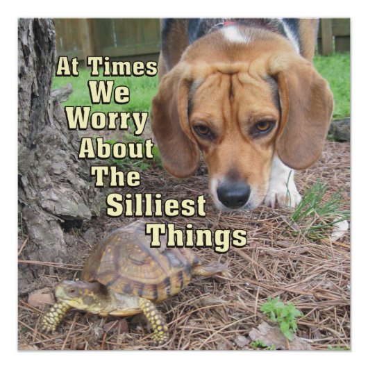 Worried Beagle Dog & Turtle Perfect Poster (Voorkant)