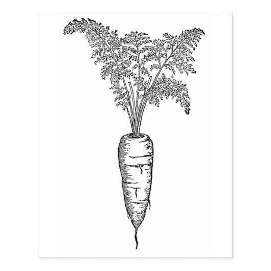  wortel 	rubberstempel (Afrduk)