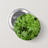 Wortel Topjes Button (Voorkant /achterkant)