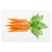 Wortelbundel Magneet (Horizontaal)