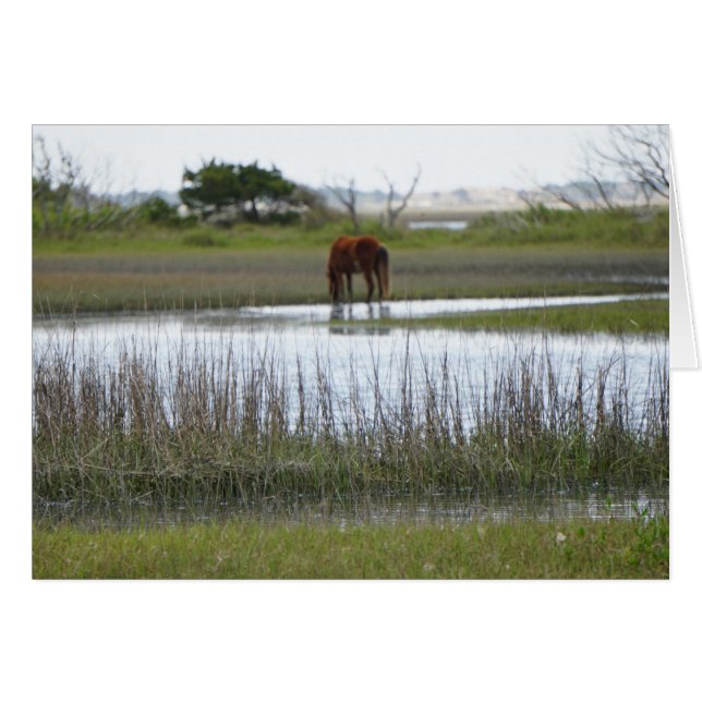 Worteleiland (Voorkant Horizontaal)