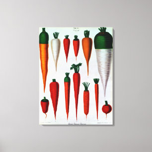 wortelen canvas afdruk