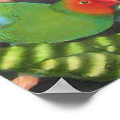 Wortelen en bromeliades poster (Hoek)