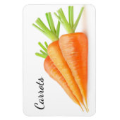 wortelen magneet (Verticaal)