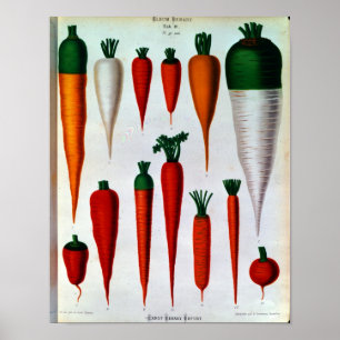 wortelen poster