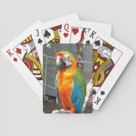 Wortelen, speelkaarten, natuur, vogels speelkaarten