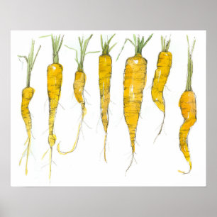 Wortels Tuin Groente Waterverf Inkt Tekening Poster