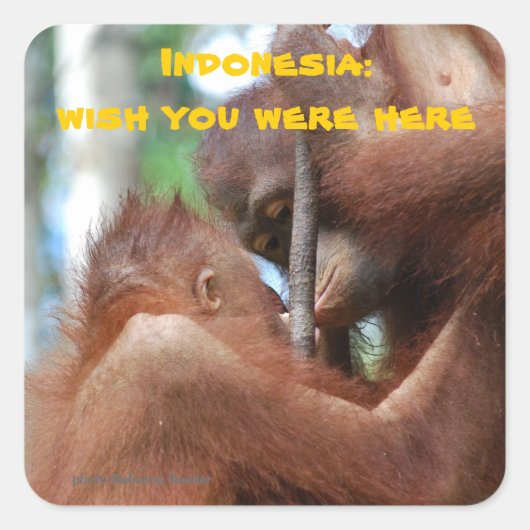 Wou dat je hier was uit Indonesië Vierkante Sticker (Voorkant)