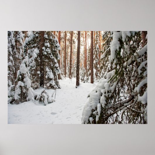 Woud in de winter poster (Voorkant)