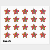 Woven Rainbow Ster Sticker (Vel)