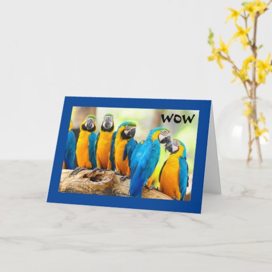 WOW—"21"-COMMENT LE COOL EST ÇA ! CARTE (Fleur jaune)