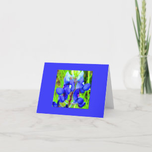 WOW-blauwe kaart
