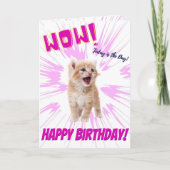 Wow Cute Funny Oranje Kitten Birthday Kaart (Voorkant)