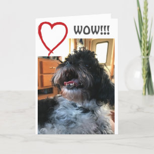 **WOW** EN **WIE** HET IS UW GROTE DAG KAART