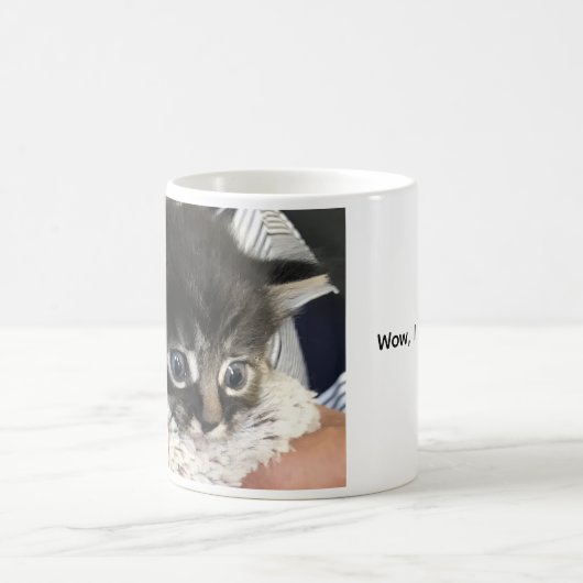 Wow, I Admire You! Cat Coffee Mug (Centre)