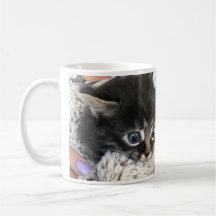Wow, ik bewonder je! Kat koffiemok
