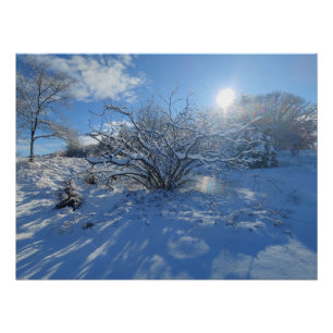 Wow is de Winter van Kunstenaarinhoud Perfect Poster