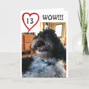 **WOW** JE WORDT **13** JAAR KAART