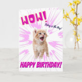 Wow mignon Orange Kitten Carte d'anniversaire (Fleur jaune)
