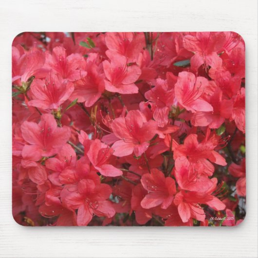 Wow! Muismat (Voorkant)