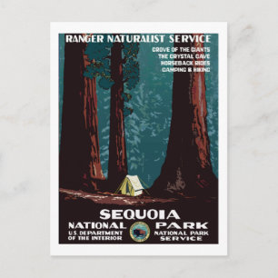 WPA-campagne in het nationale park Sequoia Briefkaart