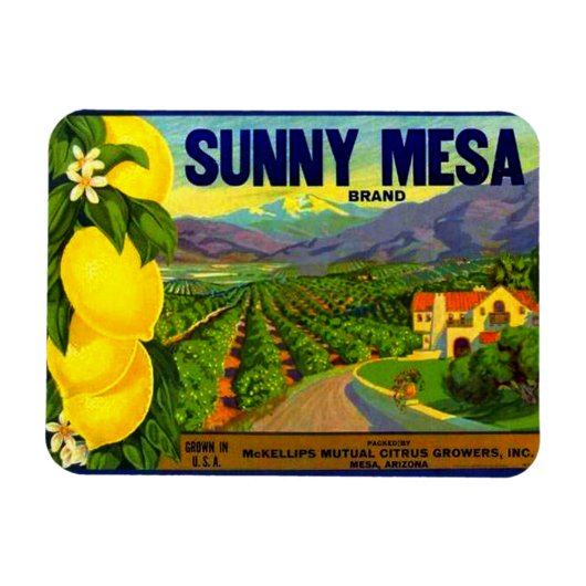 WQ MAGNEET: Sunny Mesa  Label Magneet (Horizontaal)