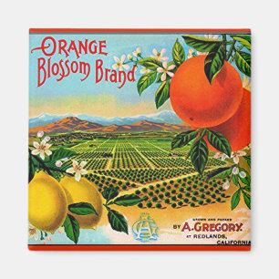 WQ MAGNET : Oranje Blossom-label Magneet