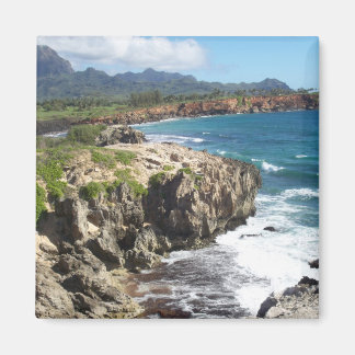 Wrak strand, Po'ipu Magneet