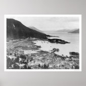 Wrangell, Alaska Panorama 1914 Poster (Voorkant)