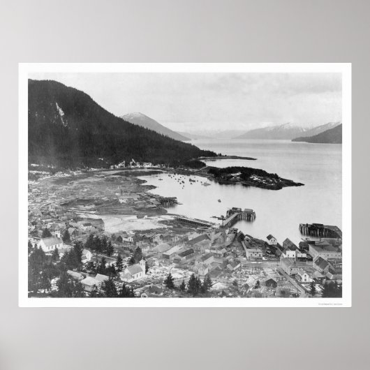 Wrangell, Alaska Panorama 1914 Poster (Voorkant)
