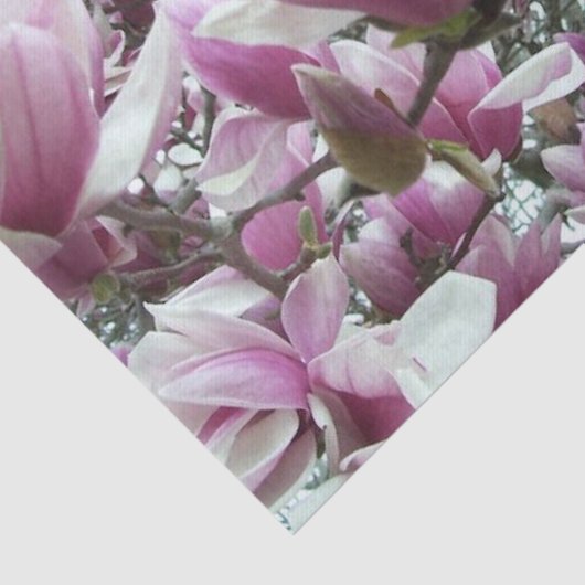 Wrappen - Saucer Magnolia Tissuepapier (Detail)