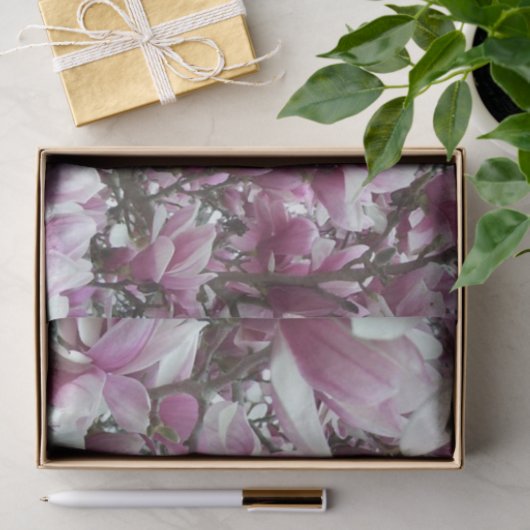 Wrappen - Saucer Magnolia Tissuepapier (Geschenk)