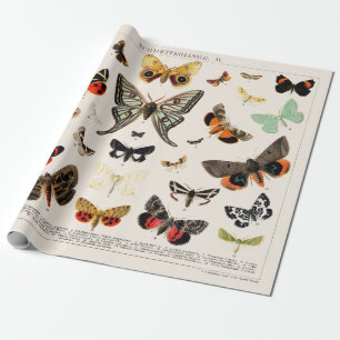 WRAPPINGSPAPIER : ANTIEK BUTTERFLY EN MOTH CHART CADEAUPAPIER