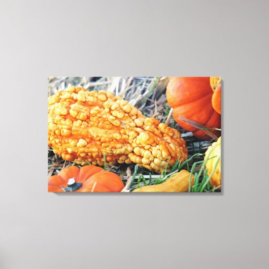 Wratmeloen Canvas Afdruk (Voorkant)