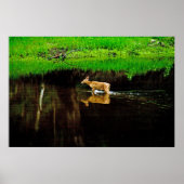 wratten poster (Voorkant)