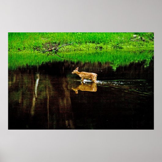 wratten poster (Voorkant)