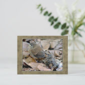 Wren Baby Bird Briefkaart (Staand voorkant)