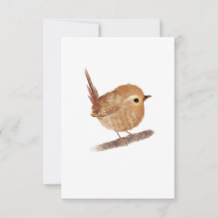 Wren Bird Blank-briefkaarten Bedankkaart