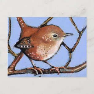 WREN, BIRD, in oliepastel Briefkaart