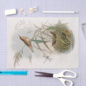 Wren Bird Nest Dragonfly Franse poststempel ontkop Tissuepapier (Craft)