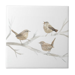 Wren Bird Wildlife Waterverf Kunst Schattig Tegeltje