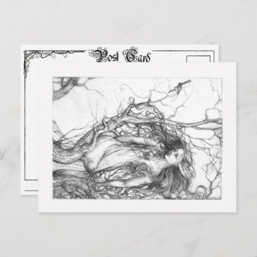 Wren Briefkaart (Voorkant / Achterkant)