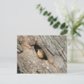 Wren Briefkaart. Briefkaart (Staand voorkant)