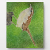 Wren Fotoplaat (Voorkant)