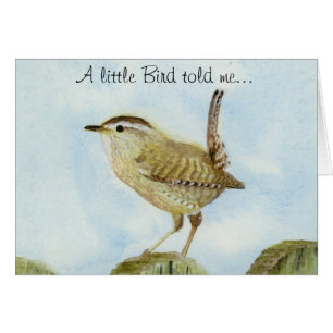 Wren Gefeliciteerd