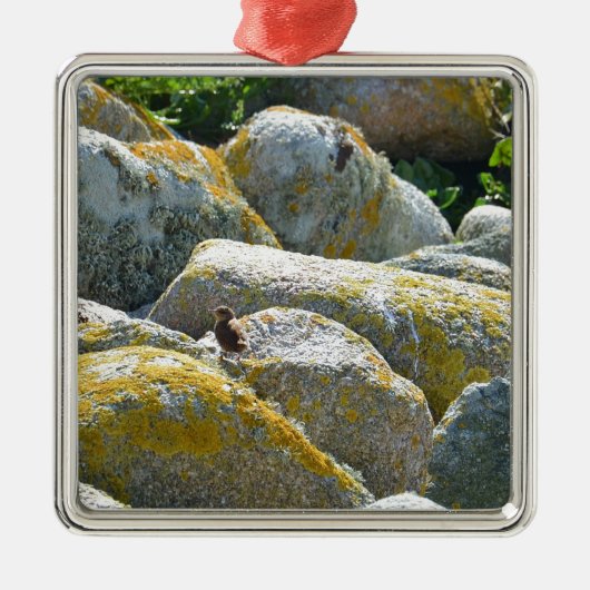 Wren Metalen Ornament (Voorkant)