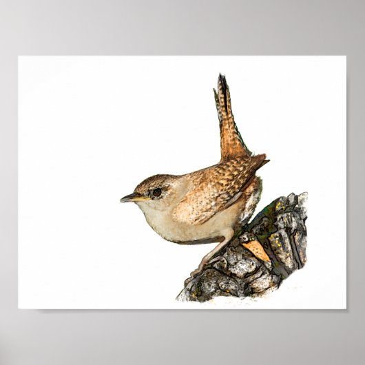 Wren Poster (Voorkant)